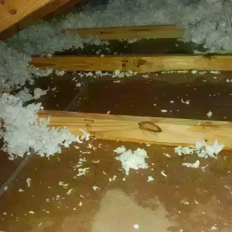 Attic Water Damage in Niagara Falls, NY