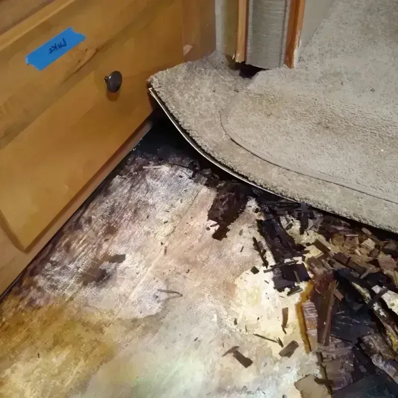 Wood Floor Water Damage in Niagara Falls, NY